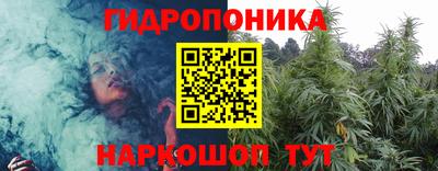 прущие грибы Кандалакша
