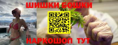 прущие грибы Кандалакша