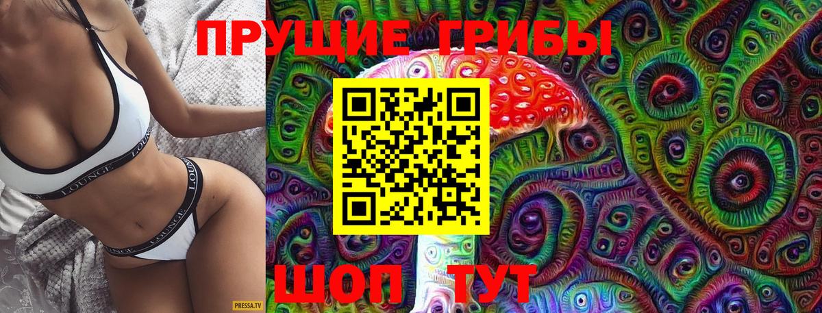 Псилоцибиновые грибы Cubensis Курчалой