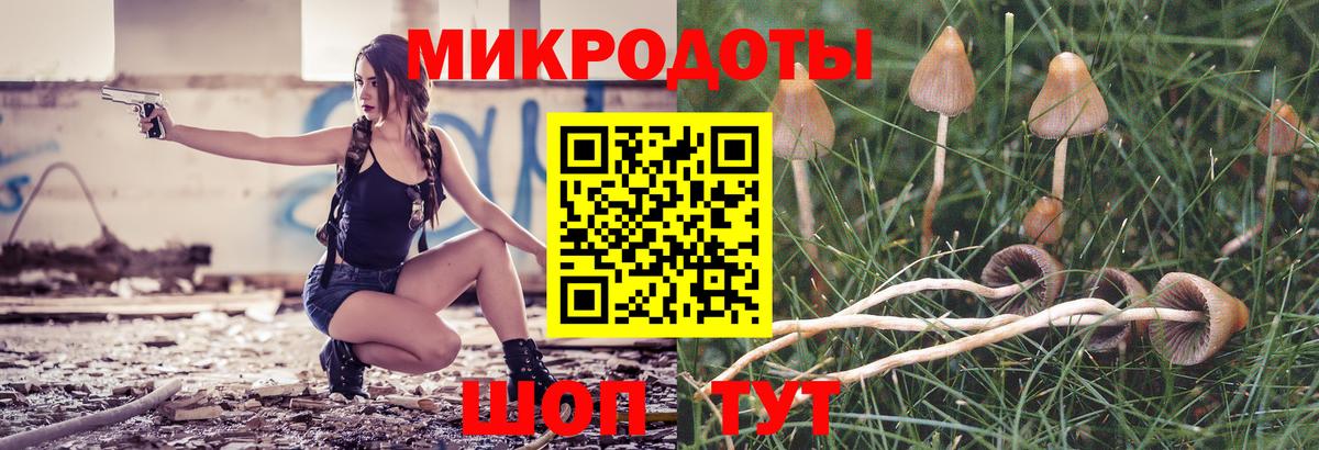 Псилоцибиновые грибы GOLDEN TEACHER  Галлюциногенные грибы Psilocybe  Курчалой  Вход с VPN 